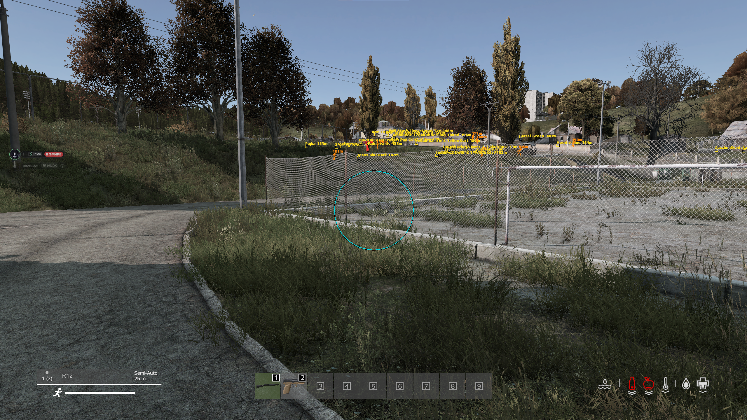 FOCUS DayZ — DayZ screenshot 1