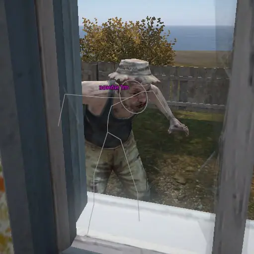 Simonni Pirate — DayZ screenshot 1
